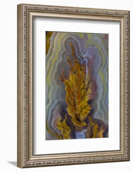 Plume Agate, Sammamish, Washington-Darrell Gulin-Framed Photographic Print