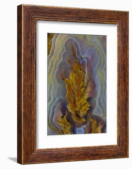 Plume Agate, Sammamish, Washington-Darrell Gulin-Framed Photographic Print