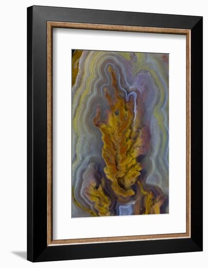 Plume Agate, Sammamish, Washington-Darrell Gulin-Framed Photographic Print