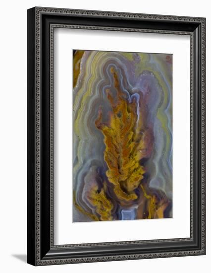 Plume Agate, Sammamish, Washington-Darrell Gulin-Framed Photographic Print