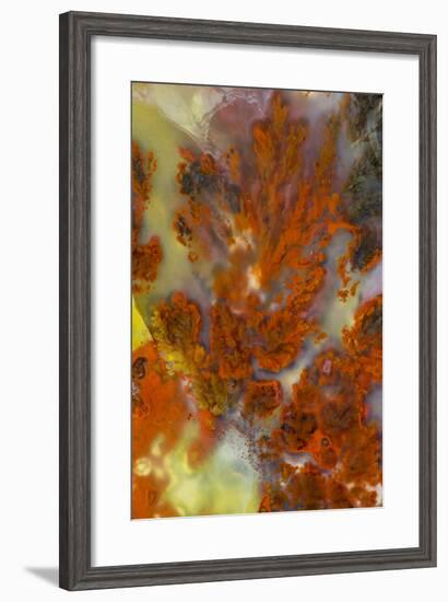 Plume Agate, Sammamish, Washington-Darrell Gulin-Framed Premium Photographic Print