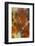 Plume Agate, Sammamish, Washington-Darrell Gulin-Framed Photographic Print