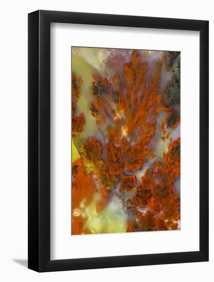 Plume Agate, Sammamish, Washington-Darrell Gulin-Framed Photographic Print