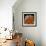 Plume Agate, Sammamish, Washington-Darrell Gulin-Framed Photographic Print displayed on a wall