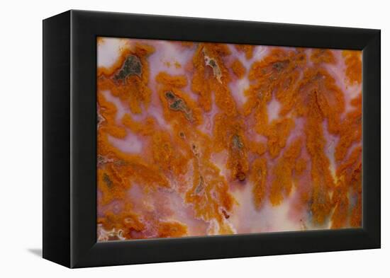 Plume Agate, Sammamish, Washington-Darrell Gulin-Framed Premier Image Canvas