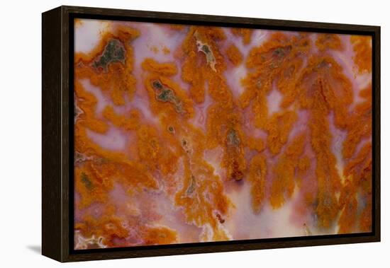 Plume Agate, Sammamish, Washington-Darrell Gulin-Framed Premier Image Canvas