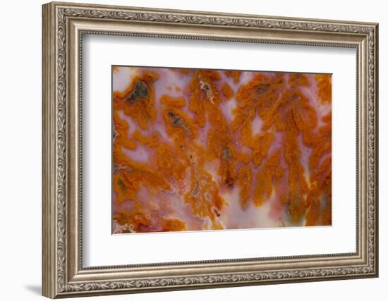 Plume Agate, Sammamish, Washington-Darrell Gulin-Framed Photographic Print