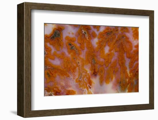 Plume Agate, Sammamish, Washington-Darrell Gulin-Framed Photographic Print