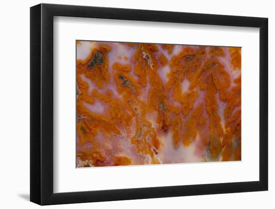 Plume Agate, Sammamish, Washington-Darrell Gulin-Framed Photographic Print