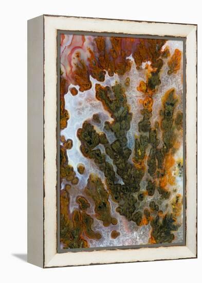 Plume Agate, Sammamish, Washington-Darrell Gulin-Framed Premier Image Canvas