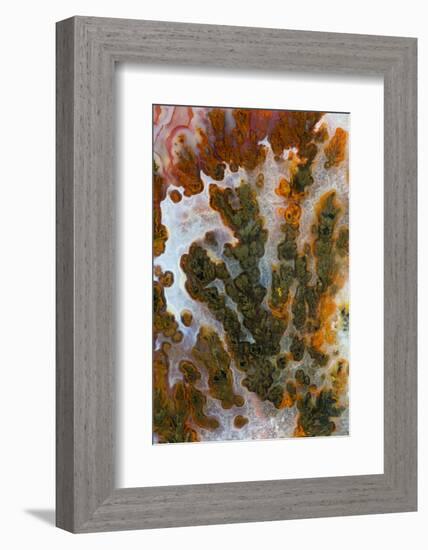 Plume Agate, Sammamish, Washington-Darrell Gulin-Framed Photographic Print