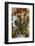 Plume Agate, Sammamish, Washington-Darrell Gulin-Framed Photographic Print