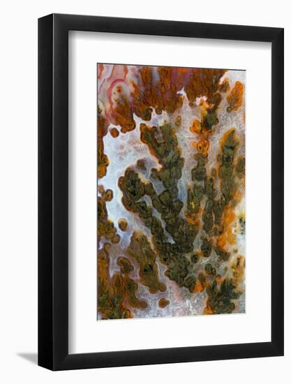 Plume Agate, Sammamish, Washington-Darrell Gulin-Framed Photographic Print