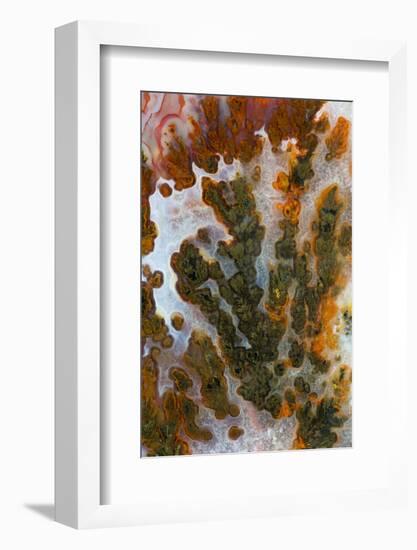 Plume Agate, Sammamish, Washington-Darrell Gulin-Framed Photographic Print