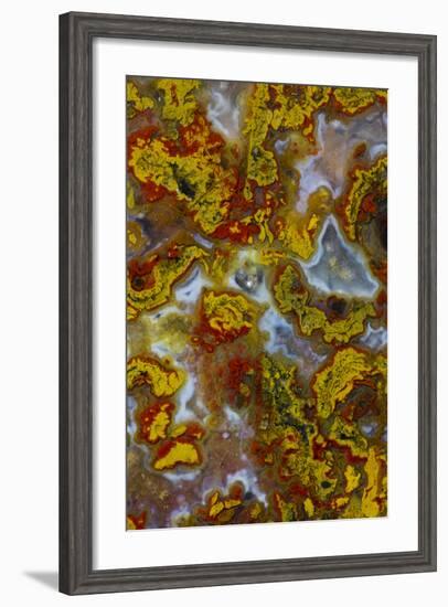 Plume and Moss Design in Agate, Fox Island WA-Darrell Gulin-Framed Photographic Print