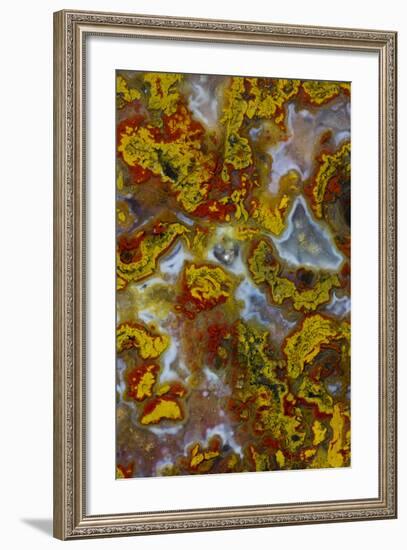 Plume and Moss Design in Agate, Fox Island WA-Darrell Gulin-Framed Photographic Print