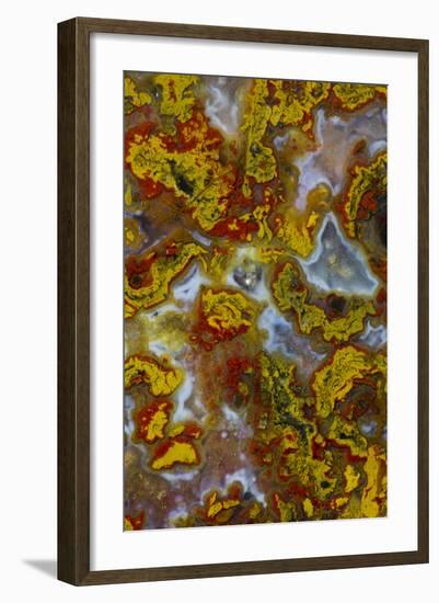 Plume and Moss Design in Agate, Fox Island WA-Darrell Gulin-Framed Photographic Print