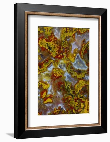 Plume and Moss Design in Agate, Fox Island WA-Darrell Gulin-Framed Photographic Print