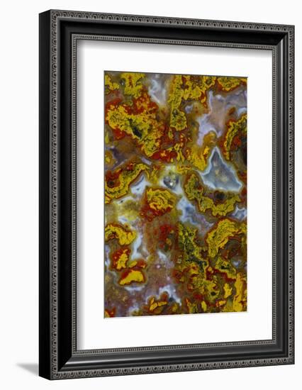 Plume and Moss Design in Agate, Fox Island WA-Darrell Gulin-Framed Photographic Print