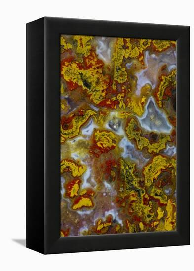 Plume and Moss Design in Agate, Fox Island WA-Darrell Gulin-Framed Premier Image Canvas