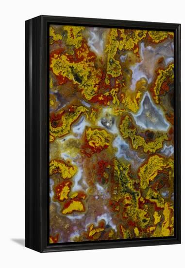 Plume and Moss Design in Agate, Fox Island WA-Darrell Gulin-Framed Premier Image Canvas