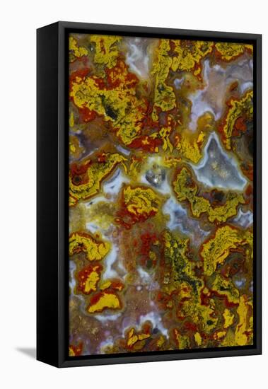 Plume and Moss Design in Agate, Fox Island WA-Darrell Gulin-Framed Premier Image Canvas