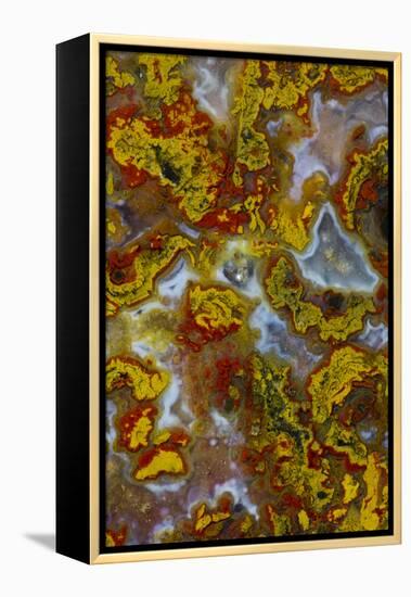 Plume and Moss Design in Agate, Fox Island WA-Darrell Gulin-Framed Premier Image Canvas