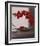 Plume Orchid II-Olivier Tramoni-Framed Art Print