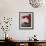 Plume Orchid II-Olivier Tramoni-Framed Art Print displayed on a wall