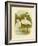 Plumed Egret or Intermediate Egret, 1891-Gracius Broinowski-Framed Giclee Print