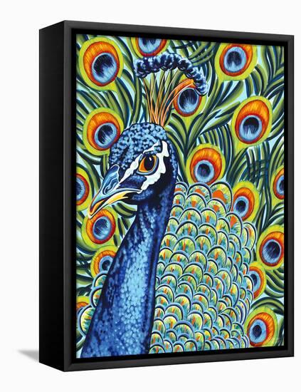 Plumed Peacock I-Carolee Vitaletti-Framed Stretched Canvas