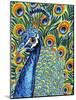 Plumed Peacock I-Carolee Vitaletti-Mounted Art Print