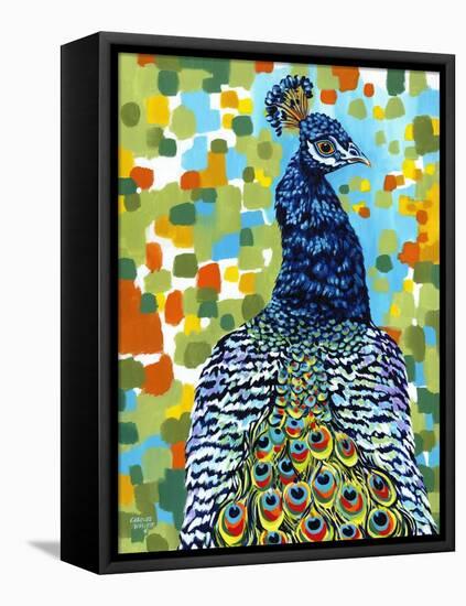 Plumed Peacock II-Carolee Vitaletti-Framed Stretched Canvas