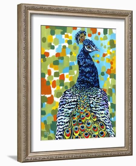 Plumed Peacock II-Carolee Vitaletti-Framed Art Print