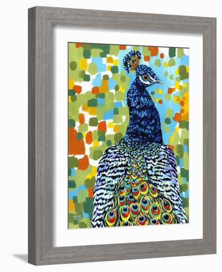 Plumed Peacock II-Carolee Vitaletti-Framed Art Print