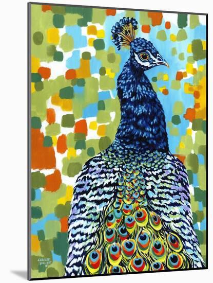 Plumed Peacock II-Carolee Vitaletti-Mounted Art Print