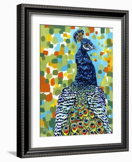 Plumed Peacock II-Carolee Vitaletti-Framed Art Print