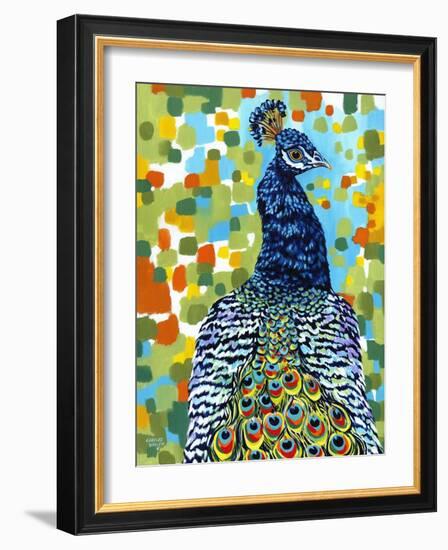 Plumed Peacock II-Carolee Vitaletti-Framed Art Print