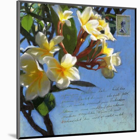 Plumeria 01-Rick Novak-Mounted Art Print