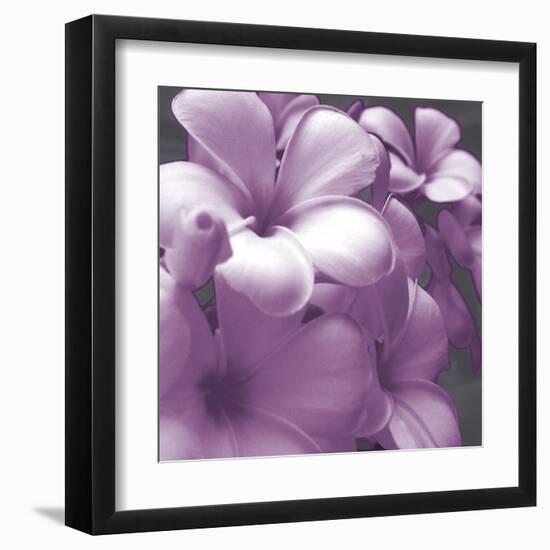 Plumeria Bloom I-Tony Koukos-Framed Giclee Print