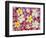 Plumeria Flowers-Darrell Gulin-Framed Photographic Print