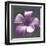 Plumeria - Solitary-Tony Koukos-Framed Giclee Print