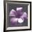 Plumeria - Solitary-Tony Koukos-Framed Giclee Print