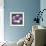 Plumeria - Solitary-Tony Koukos-Framed Giclee Print displayed on a wall