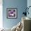 Plumeria - Solitary-Tony Koukos-Framed Giclee Print displayed on a wall