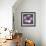 Plumeria - Solitary-Tony Koukos-Framed Giclee Print displayed on a wall