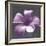 Plumeria - Solitary-Tony Koukos-Framed Giclee Print