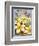 Plumeria-Kerne Erickson-Framed Art Print