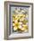 Plumeria-Kerne Erickson-Framed Art Print