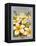 Plumeria-Kerne Erickson-Framed Stretched Canvas